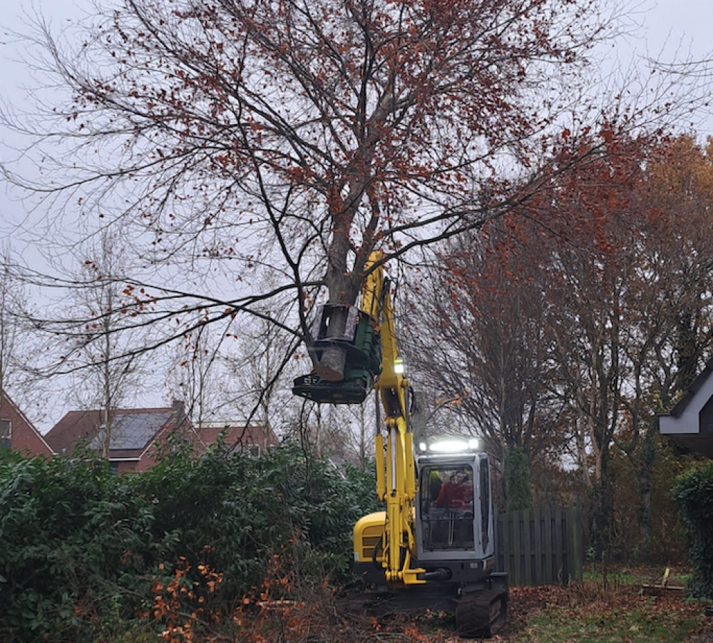 Koops Boomkapbedrijf & Grondwerk - December – Bomen Kappen